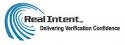 Real Intent Automatic Verification Solutions